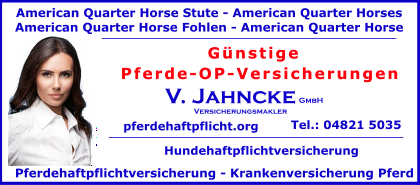 American_Quarter_Horse