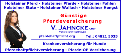 Holsteiner